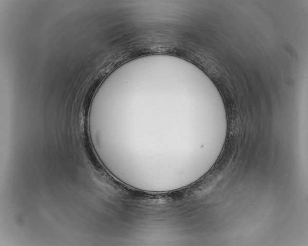 X0000111190646200907011010