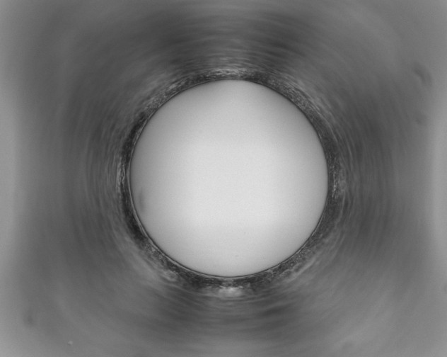 X0000111190647200907011010