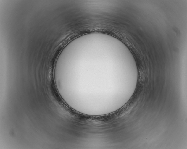 X0000111190648200907011010