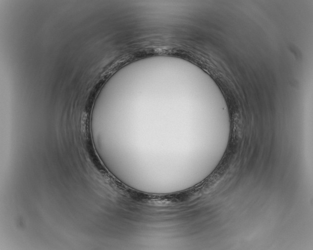 X0000111190650200907011010