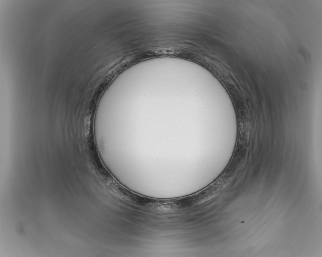 X0000111190652200907011010