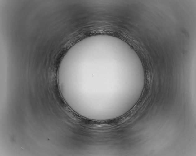 X0000111190657200907011010