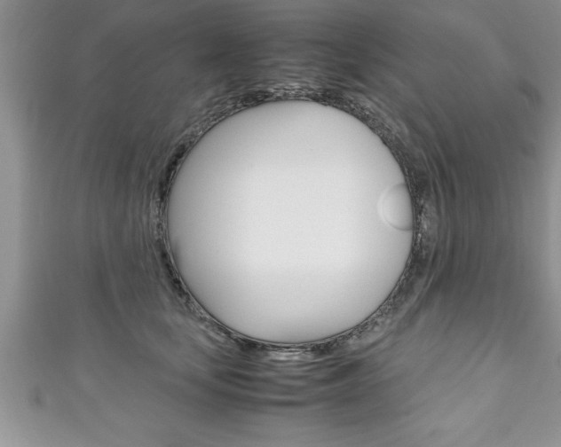 X0000111190659200907011010