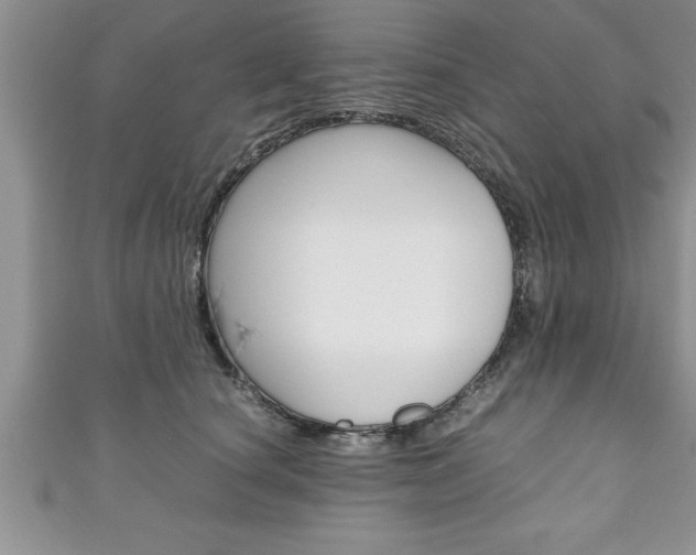 X0000111190660200907011010