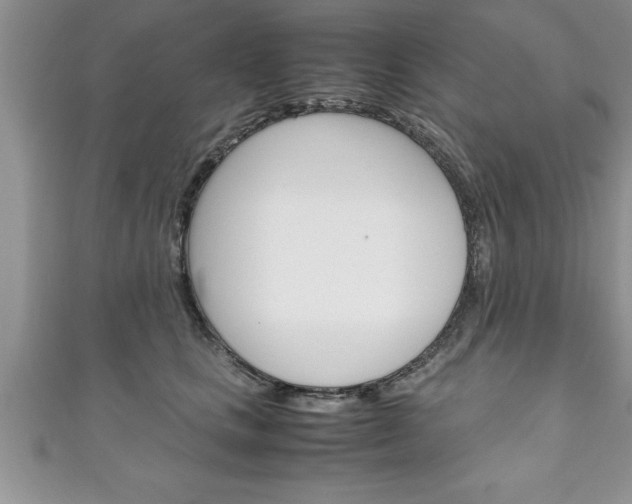 X0000111190661200907011010