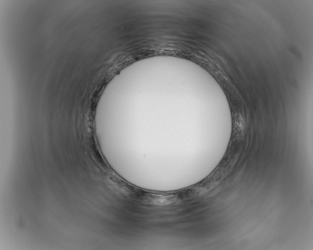 X0000111190663200907011010