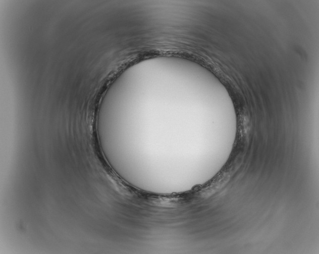 X0000111190664200907011010