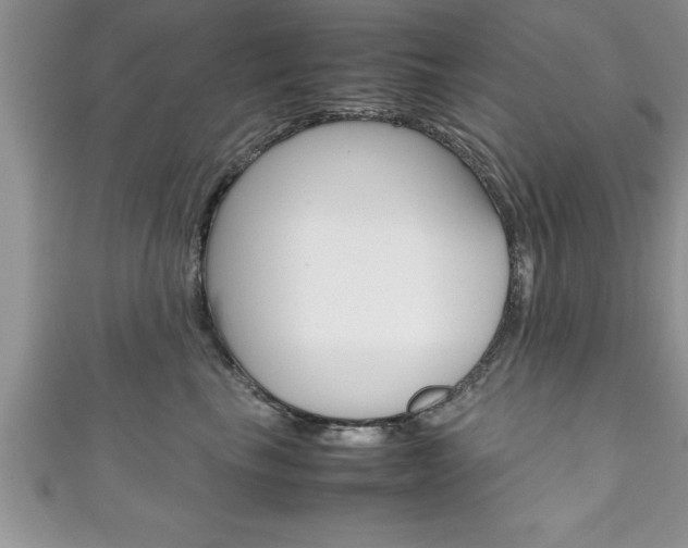 X0000111190665200907011010