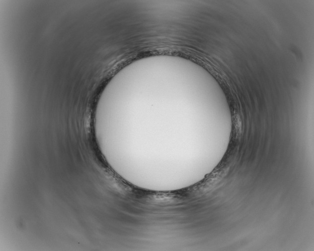 X0000111190668200907011010