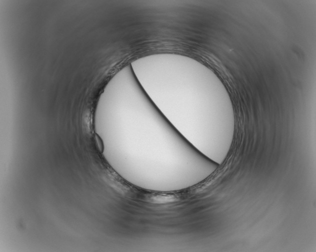 X0000111190669200907011010