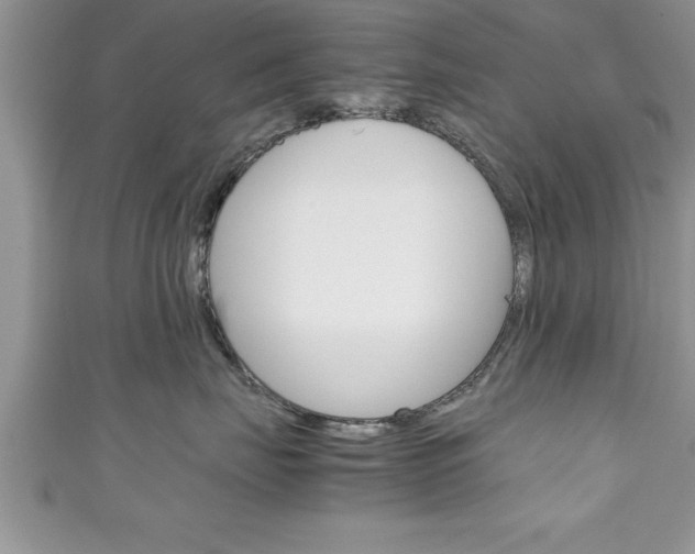 X0000111190671200907011010