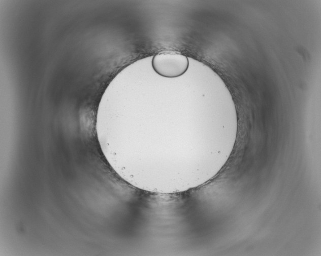 X0000111190672200907011010