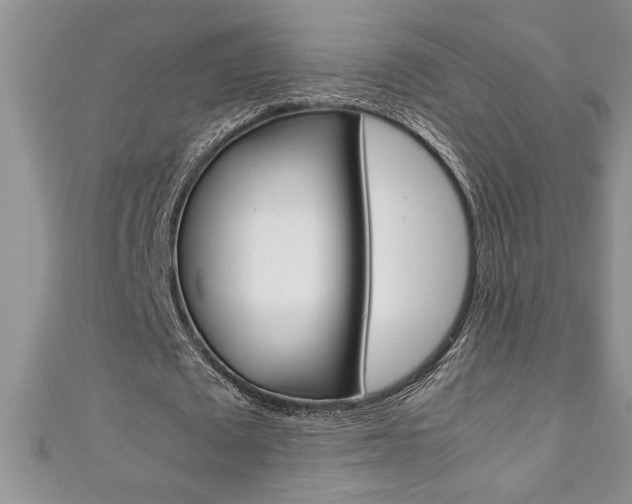 X0000111190673200907011009