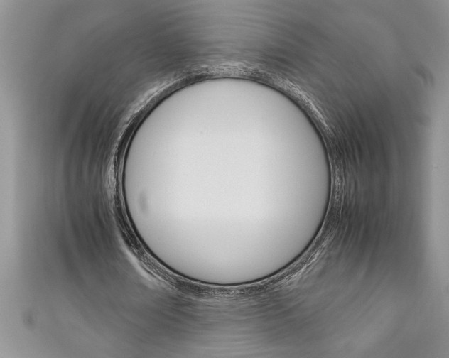 X0000111190674200907011009