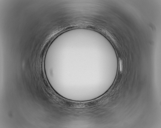 X0000111190675200907011009