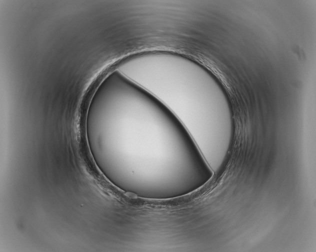 X0000111190676200907011009