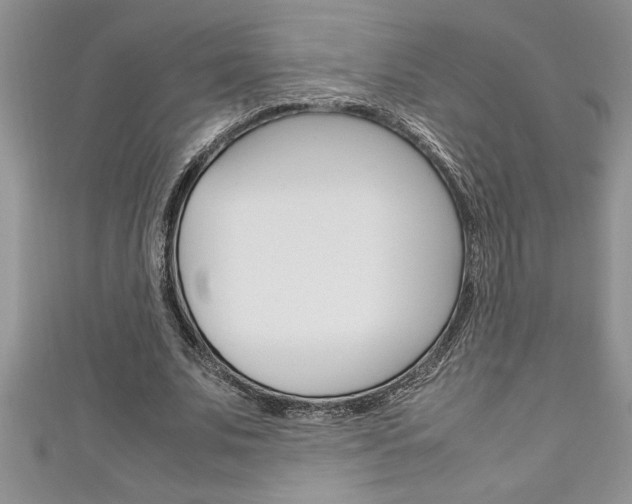 X0000111190679200907011009