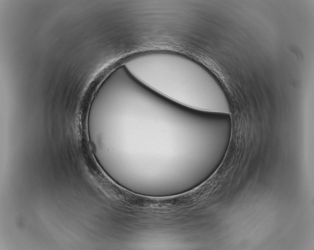 X0000111190680200907011009