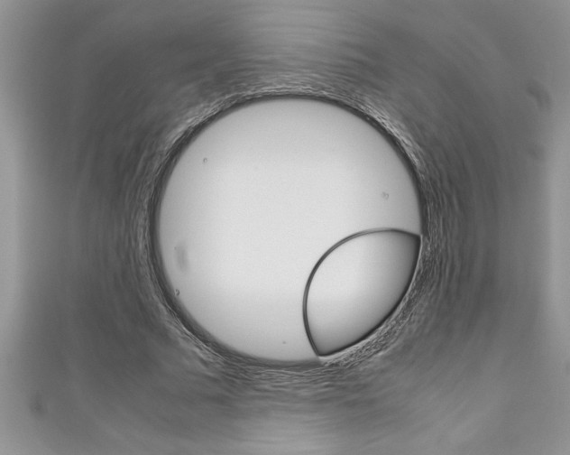 X0000111190681200907011009