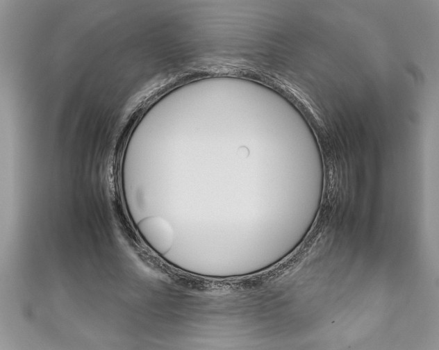 X0000111190682200907011009