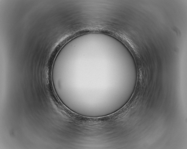 X0000111190684200907011009