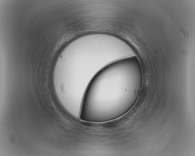 X0000111190685200907011009