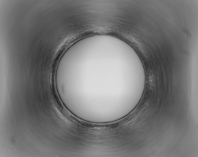 X0000111190686200907011009