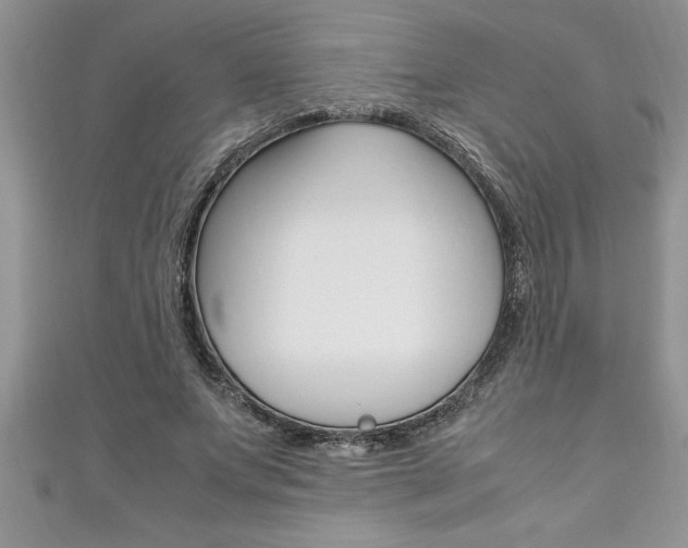 X0000111190687200907011009