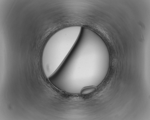 X0000111190689200907011009