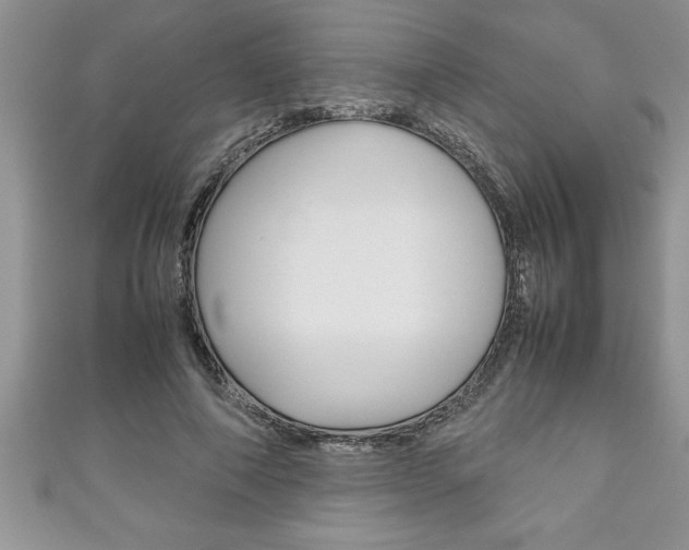 X0000111190690200907011009