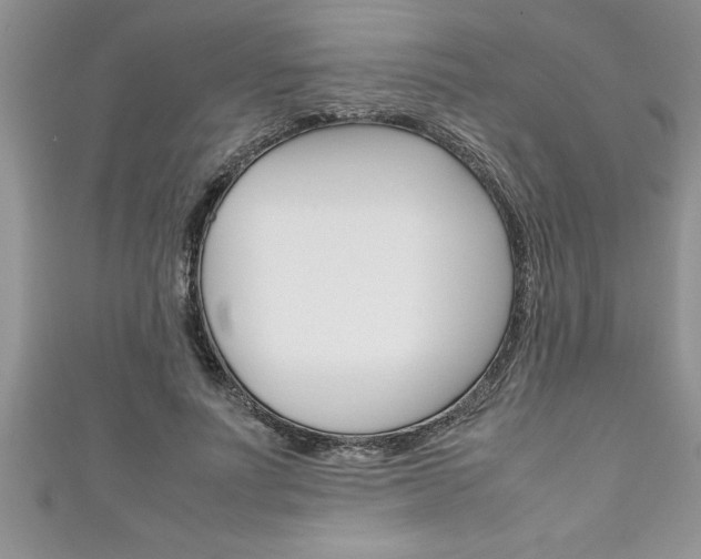 X0000111190691200907011009