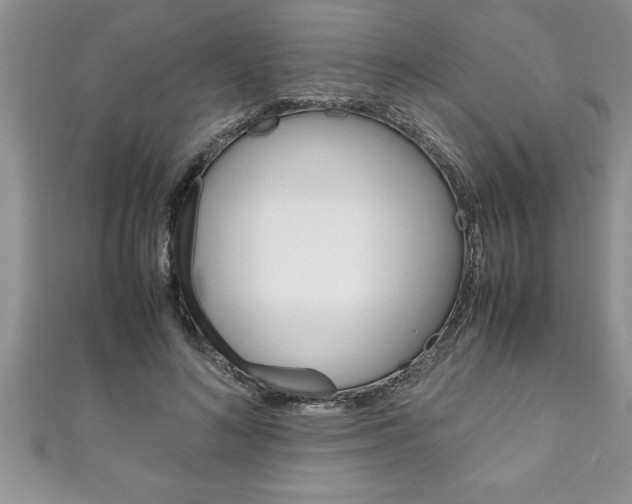 X0000111190692200907011009