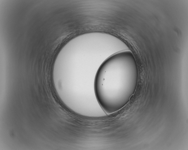 X0000111190693200907011009