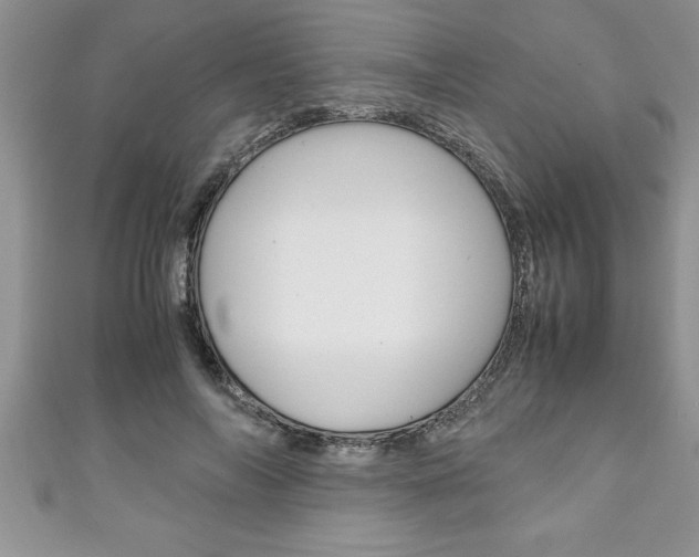 X0000111190694200907011009