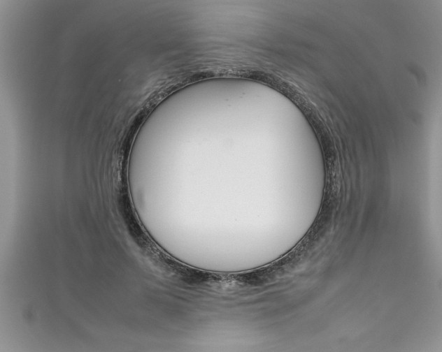 X0000111190695200907011009