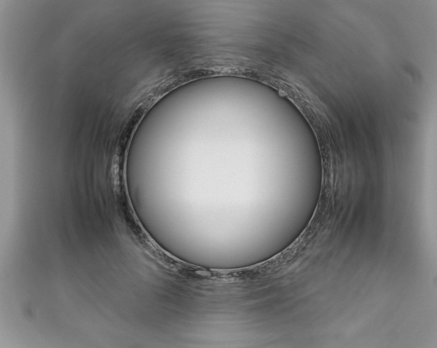 X0000111190696200907011009