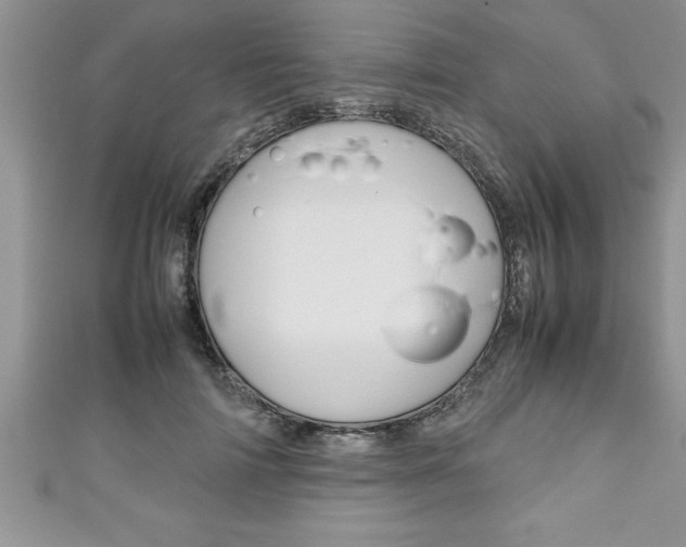 X0000111190698200907011009