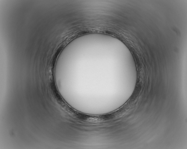 X0000111190699200907011009