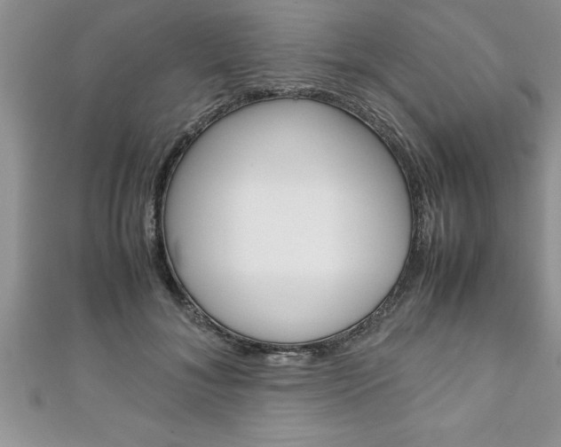 X0000111190700200907011009