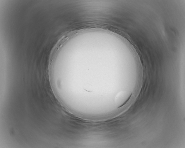 X0000111190701200907011009