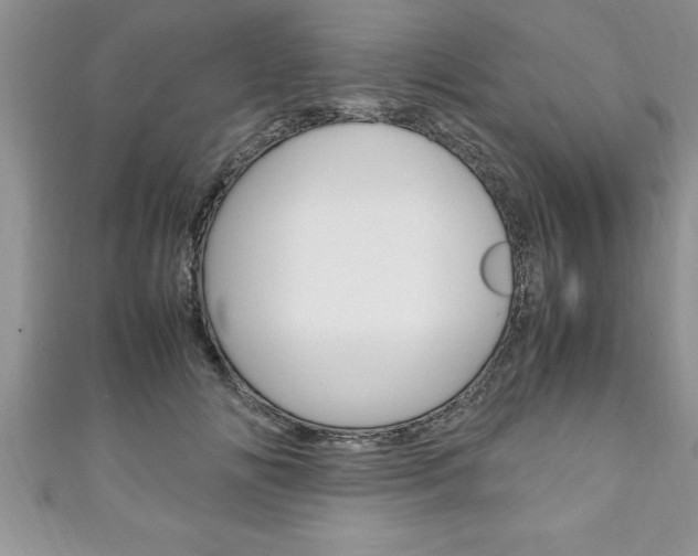 X0000111190702200907011009