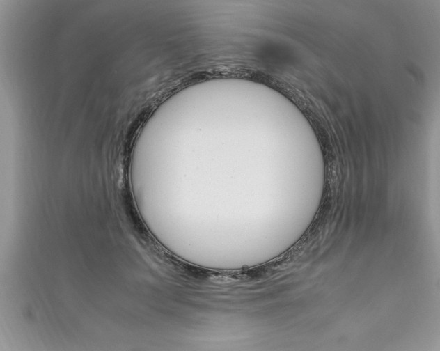 X0000111190703200907011009