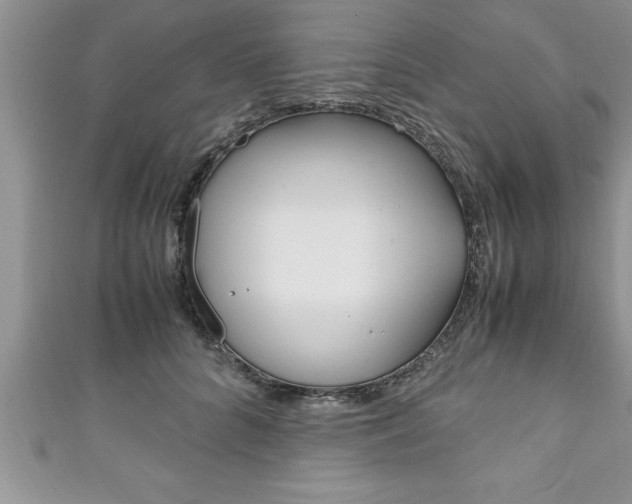 X0000111190704200907011009