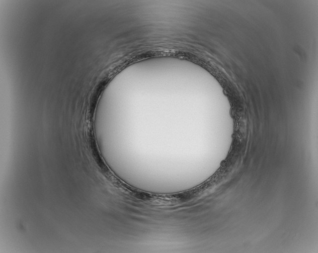 X0000111190707200907011009