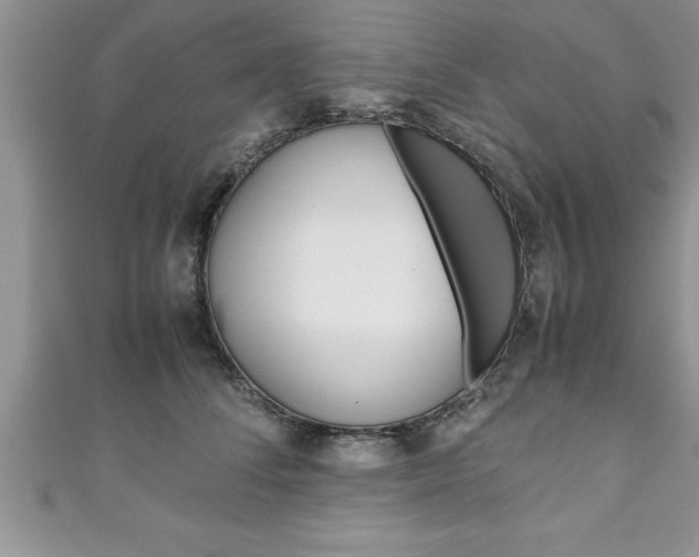 X0000111190708200907011009