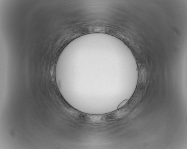 X0000111190709200907011009