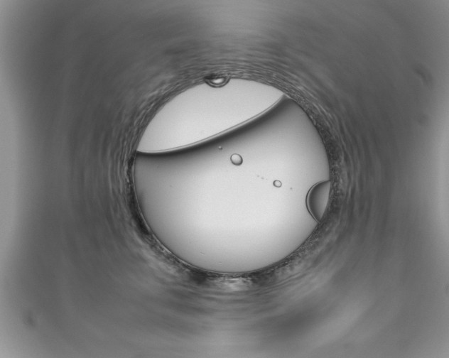 X0000111190711200907011009