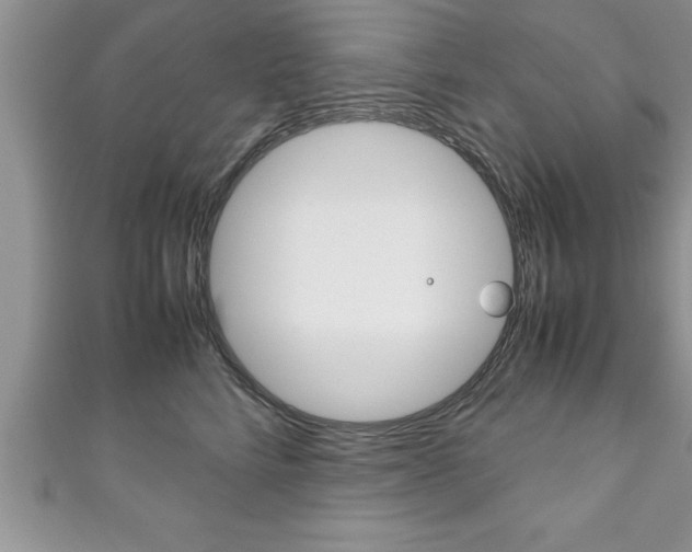 X0000111190712200907011009