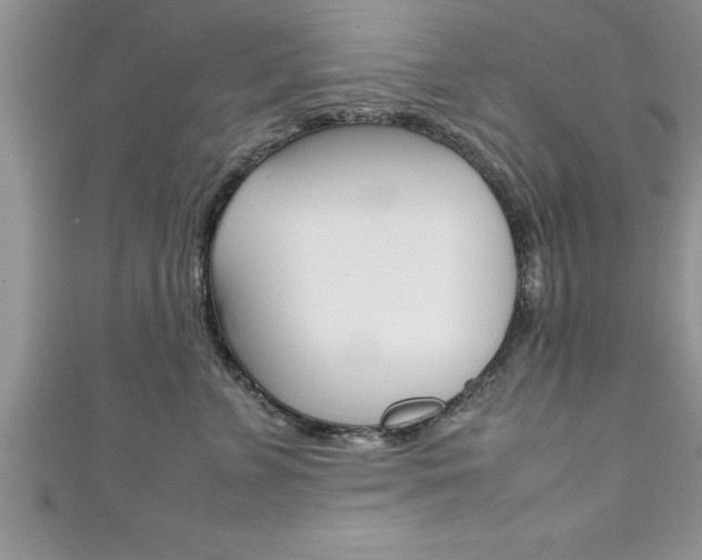 X0000111190715200907011009