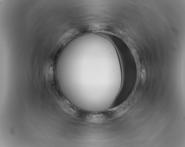 X0000111190716200907011009